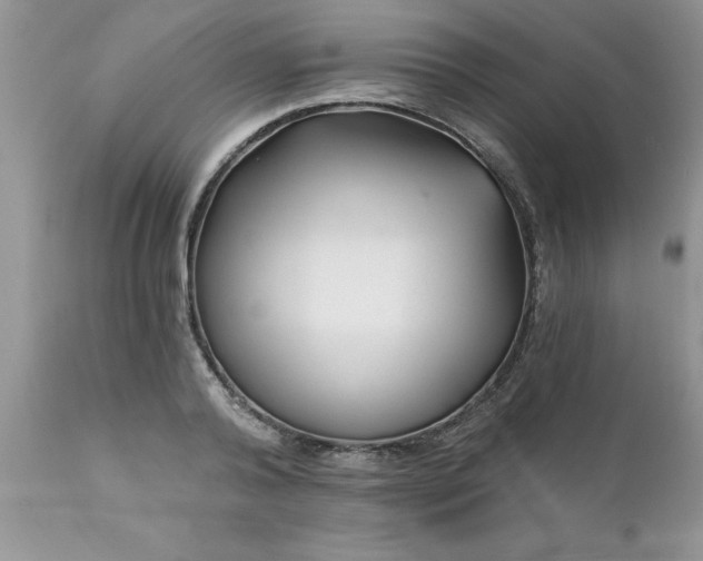 X0000111790792200907301144