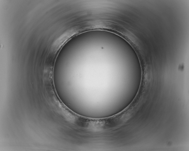 X0000111790793200907301144