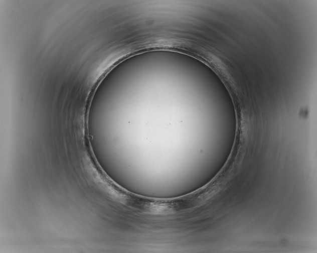 X0000111790794200907301144