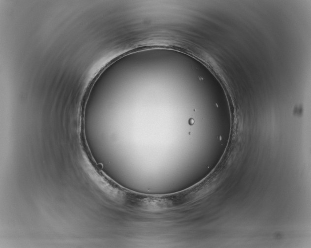 X0000111790795200907301144