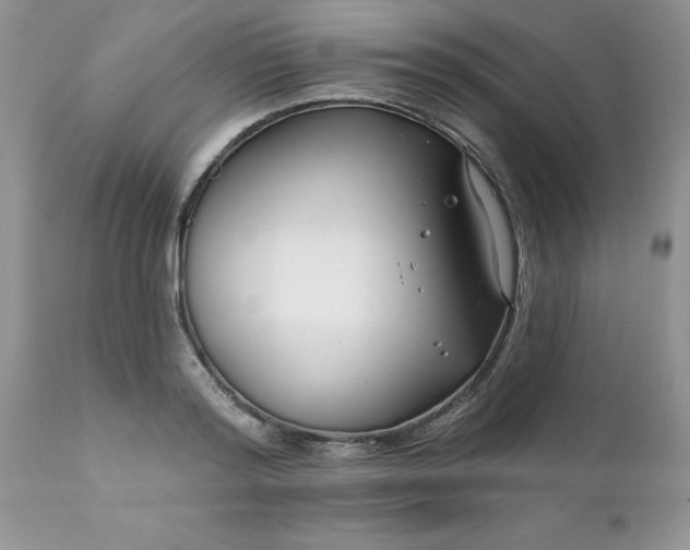 X0000111790796200907301144