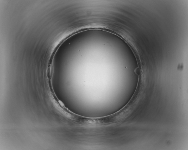 X0000111790797200907301144