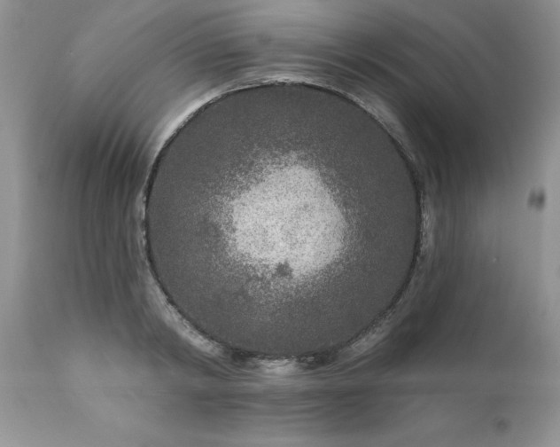 X0000111790798200907301144