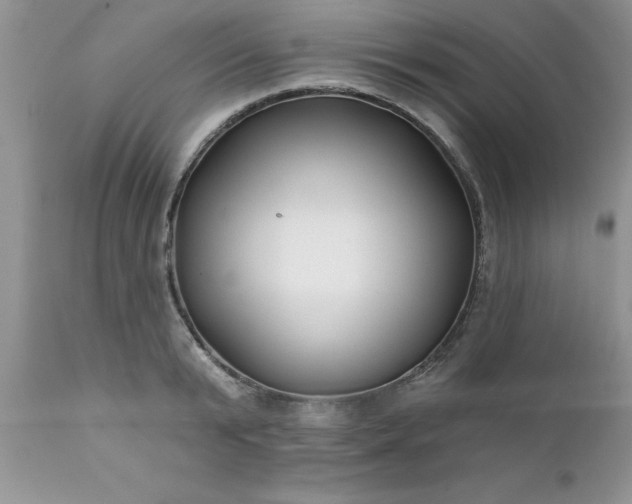 X0000111790799200907301144