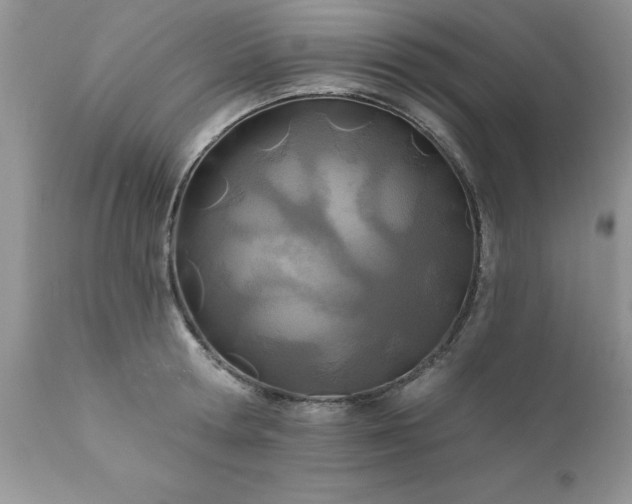 X0000111790802200907301144