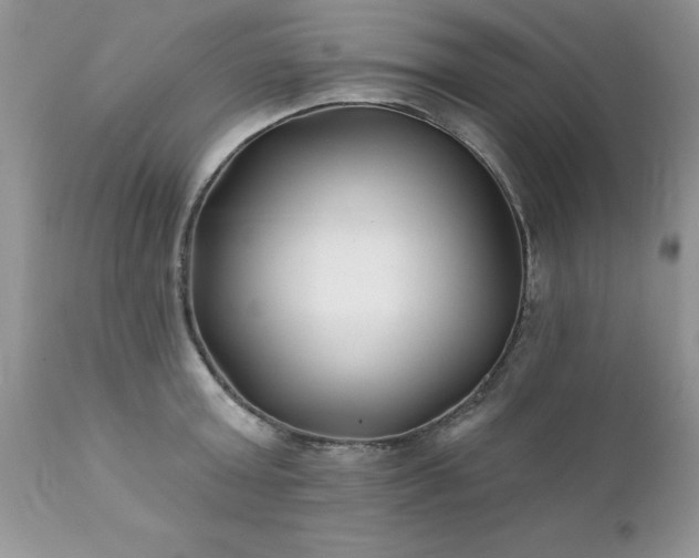 X0000111790803200907301144