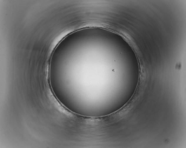 X0000111790804200907301144