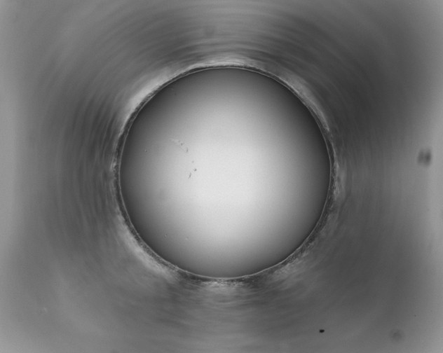 X0000111790805200907301144