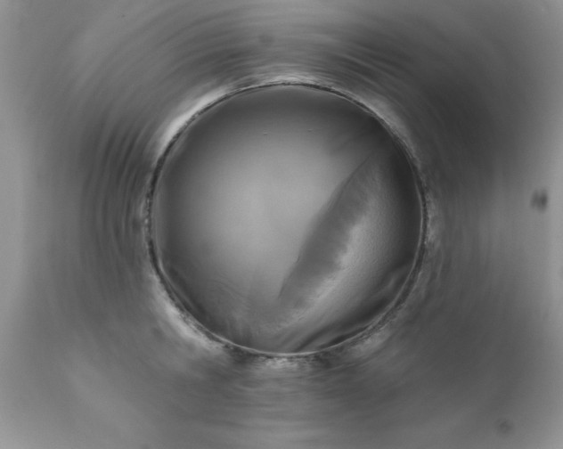 X0000111790806200907301144