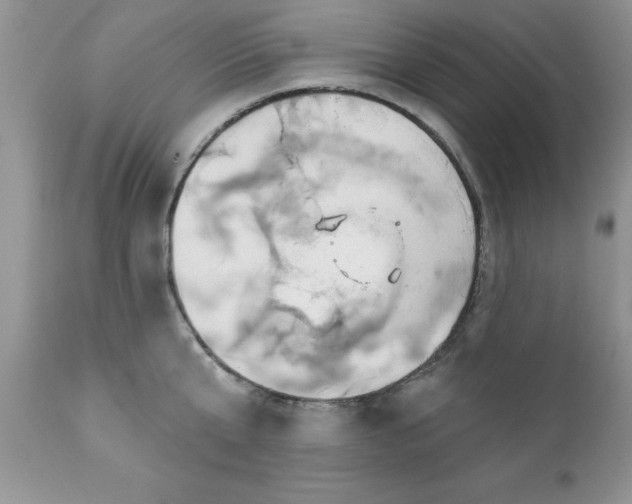 X0000111790807200907301144