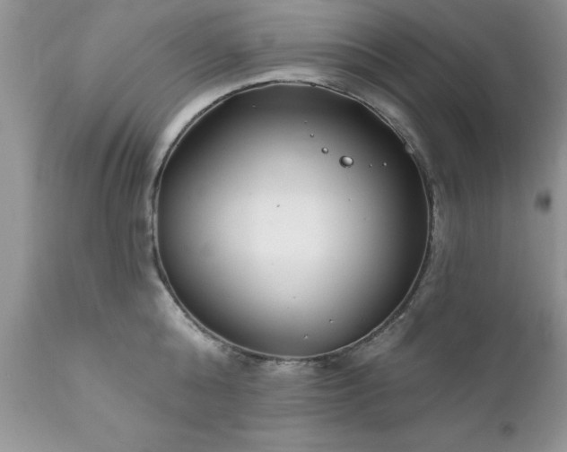 X0000111790808200907301144