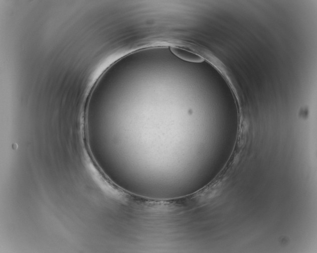 X0000111790811200907301144