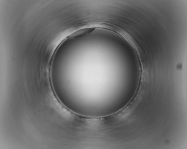 X0000111790813200907301144