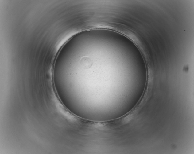 X0000111790814200907301144