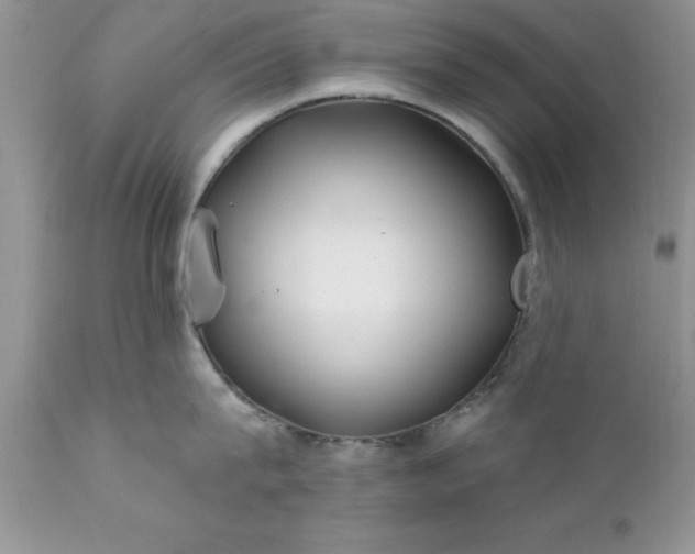 X0000111790815200907301144