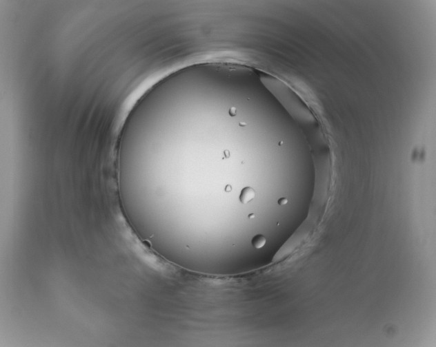 X0000111790816200907301144