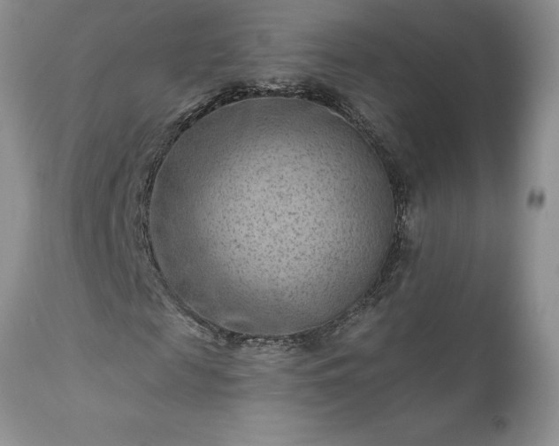 X0000111790817200907301143