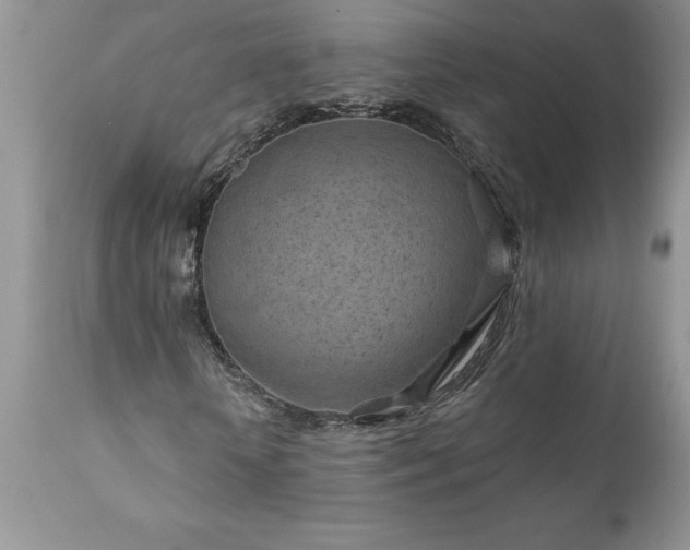 X0000111790818200907301143