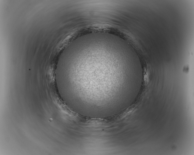 X0000111790819200907301143