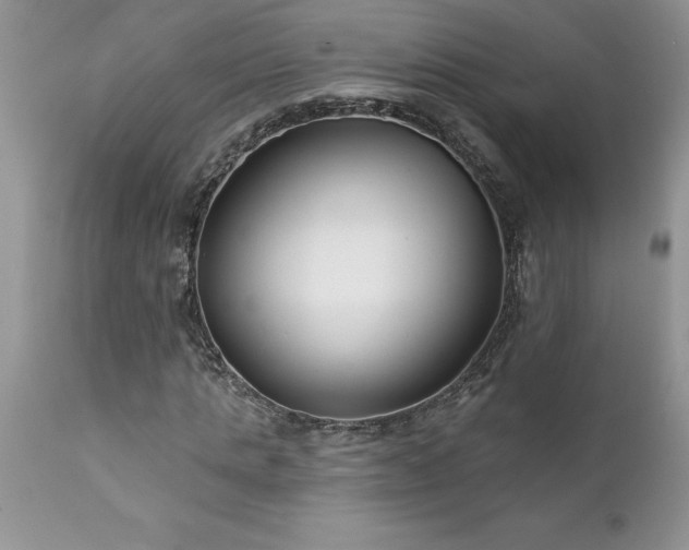 X0000111790821200907301143