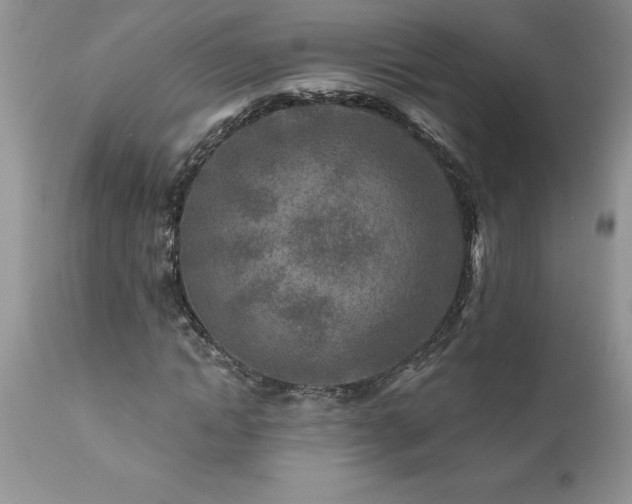 X0000111790822200907301143