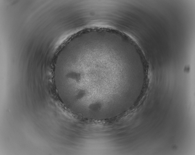 X0000111790823200907301143