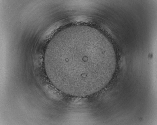 X0000111790824200907301143