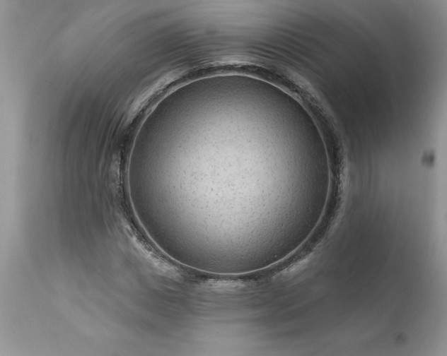 X0000111790825200907301143