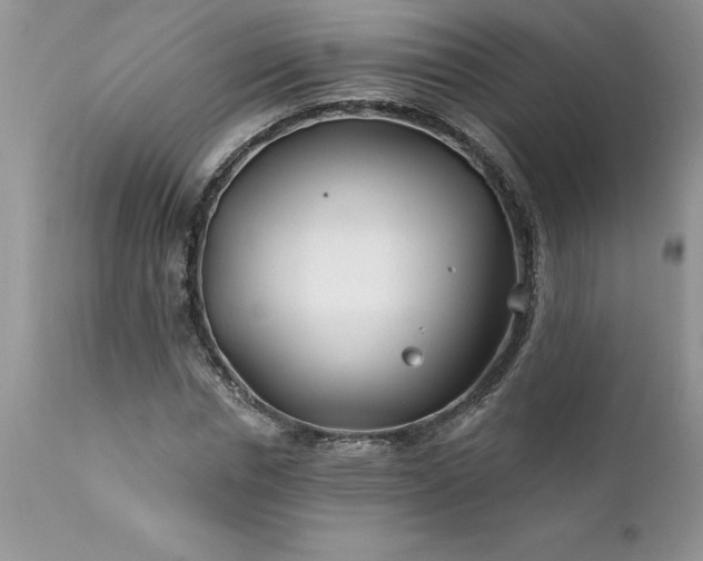 X0000111790826200907301143