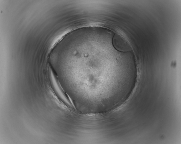 X0000111790827200907301143