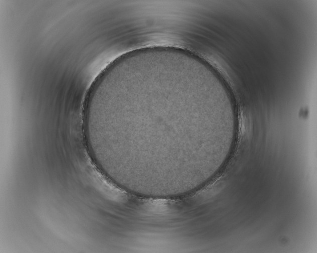 X0000111790828200907301143