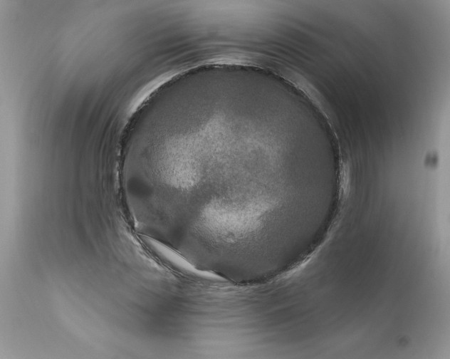 X0000111790829200907301143