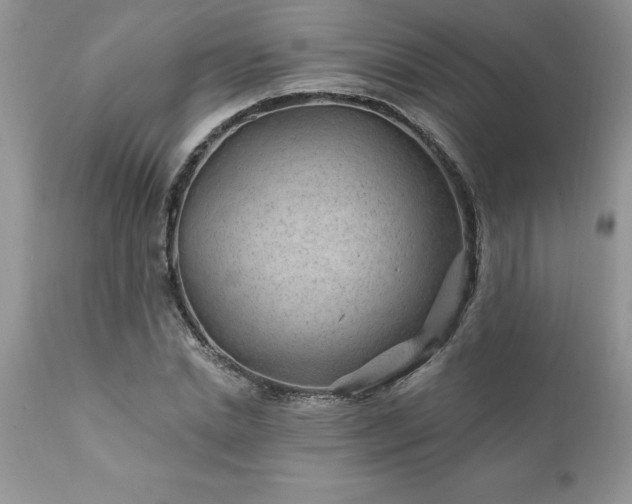 X0000111790830200907301143