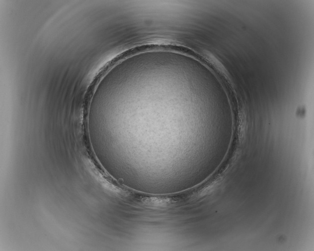 X0000111790831200907301143