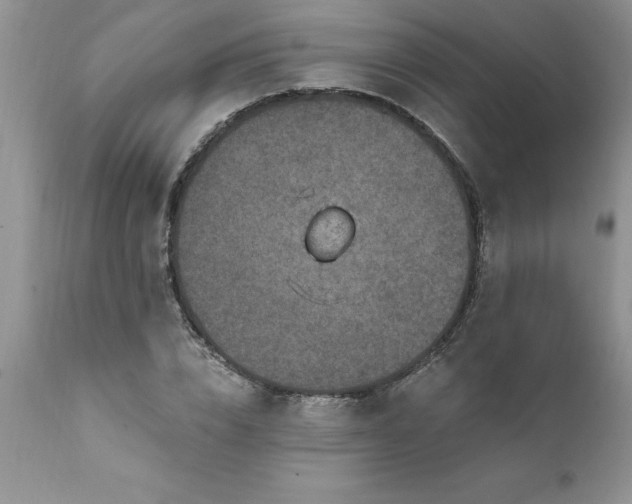 X0000111790832200907301143