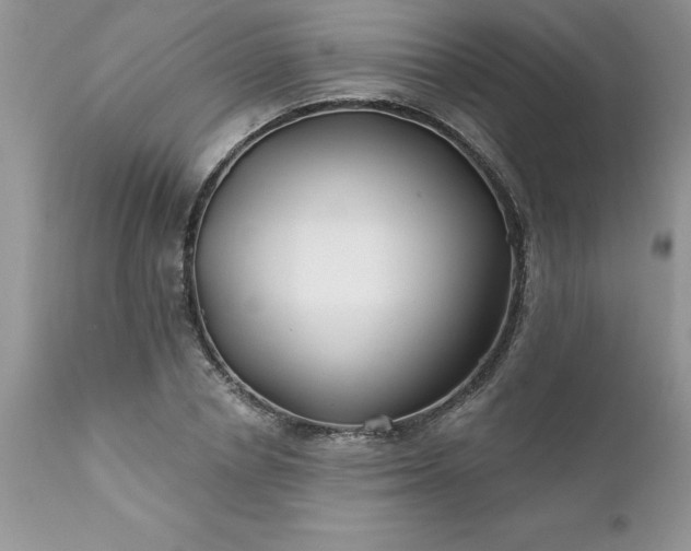 X0000111790834200907301143