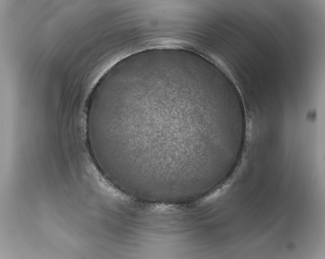 X0000111790835200907301143