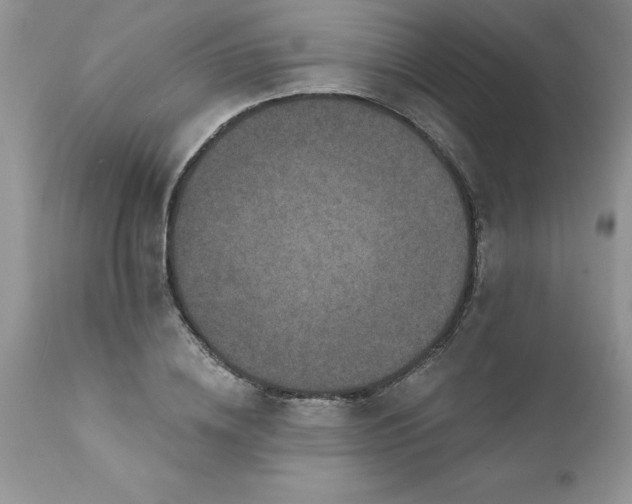 X0000111790836200907301143