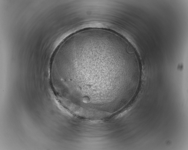 X0000111790837200907301143