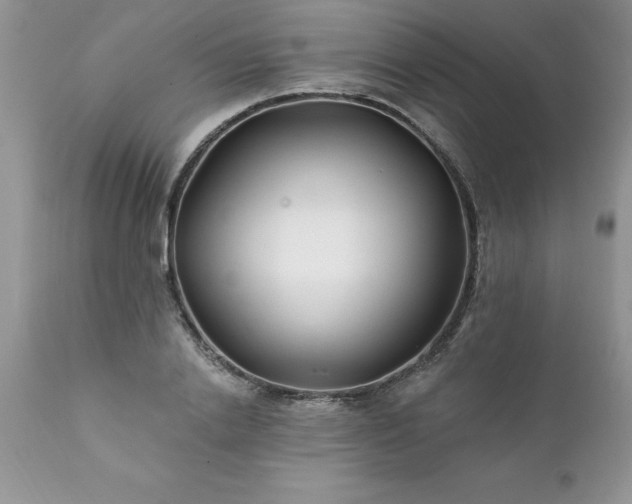 X0000111790838200907301143