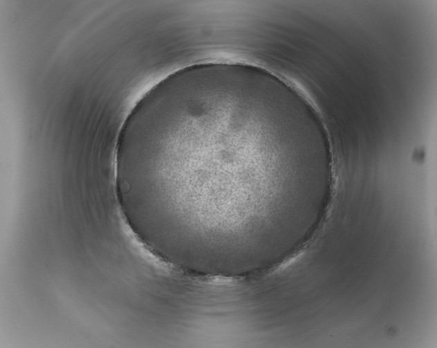 X0000111790839200907301143