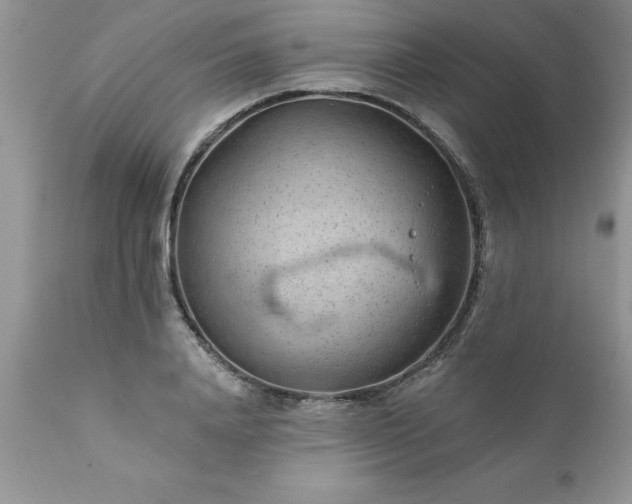 X0000111790840200907301143