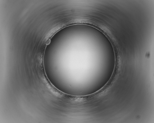 X0000111790841200907301143