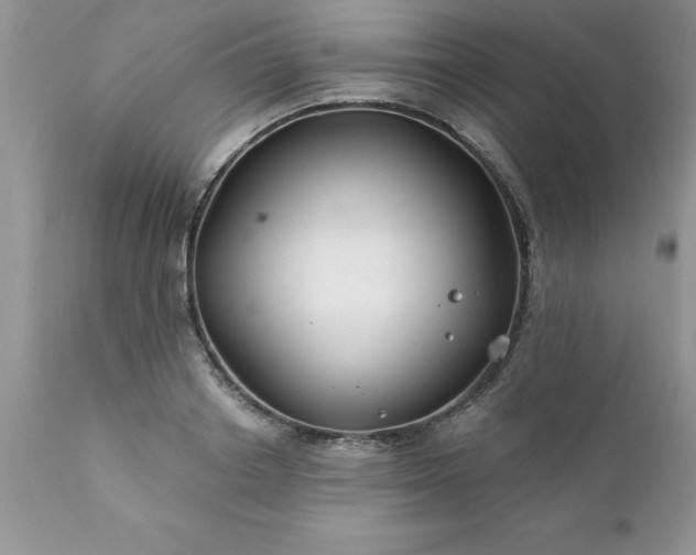 X0000111790842200907301143