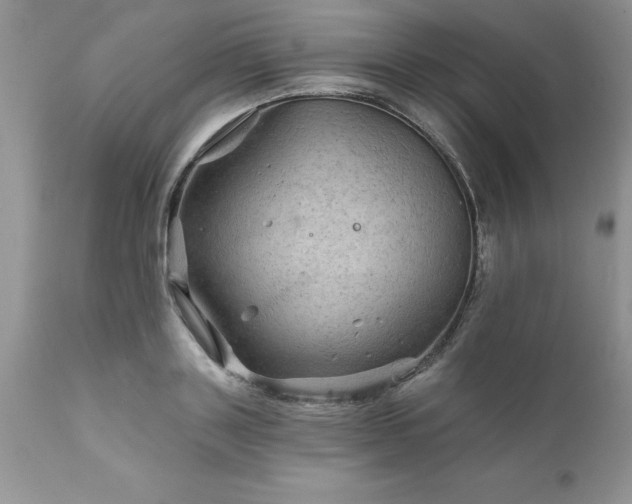 X0000111790843200907301143