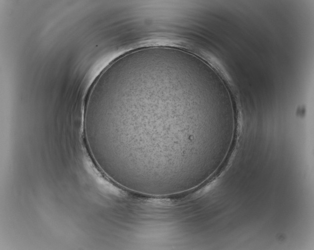 X0000111790844200907301143