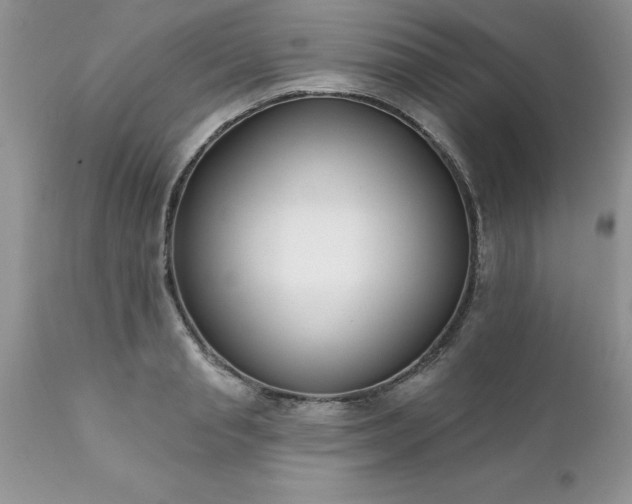 X0000111790845200907301143