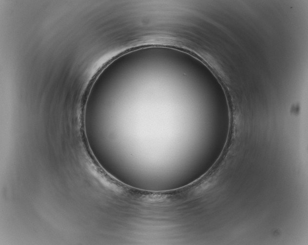 X0000111790846200907301143