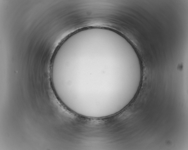 X0000111790848200907301143