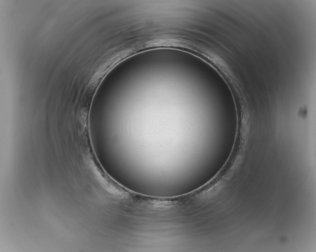 X0000111790849200907301143